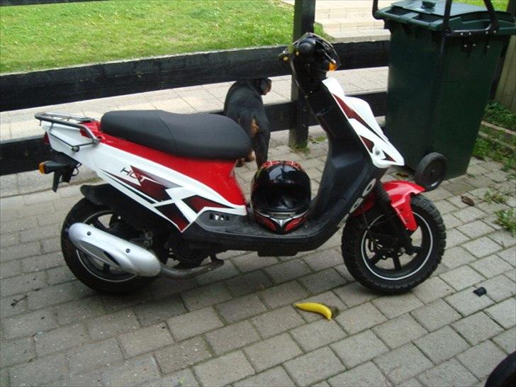 PGO hot 50 (solgt) billede 4