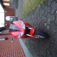 MiniBike Pocketbike