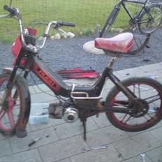 Puch night rider 