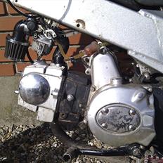 Apollo Orion   Apollo 