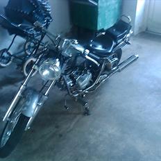 Regal raptor  [kommet tilbage)