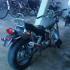 Regal raptor  [kommet tilbage)