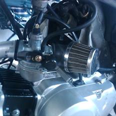 Regal raptor  [kommet tilbage)