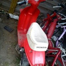 Honda melody nt 50