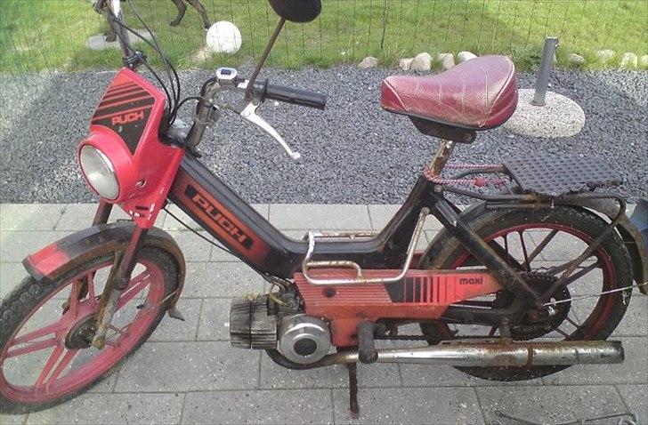 Puch night rider  billede 5