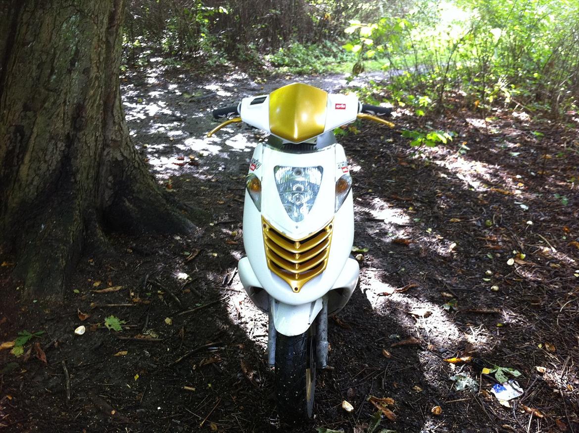 Aprilia Sonic  billede 2