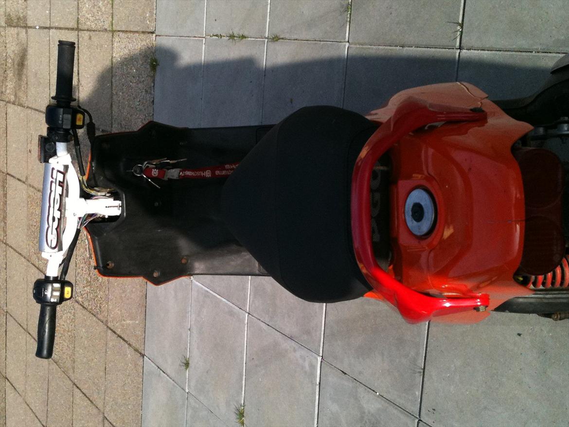 PGO hot 50 solgt billede 6