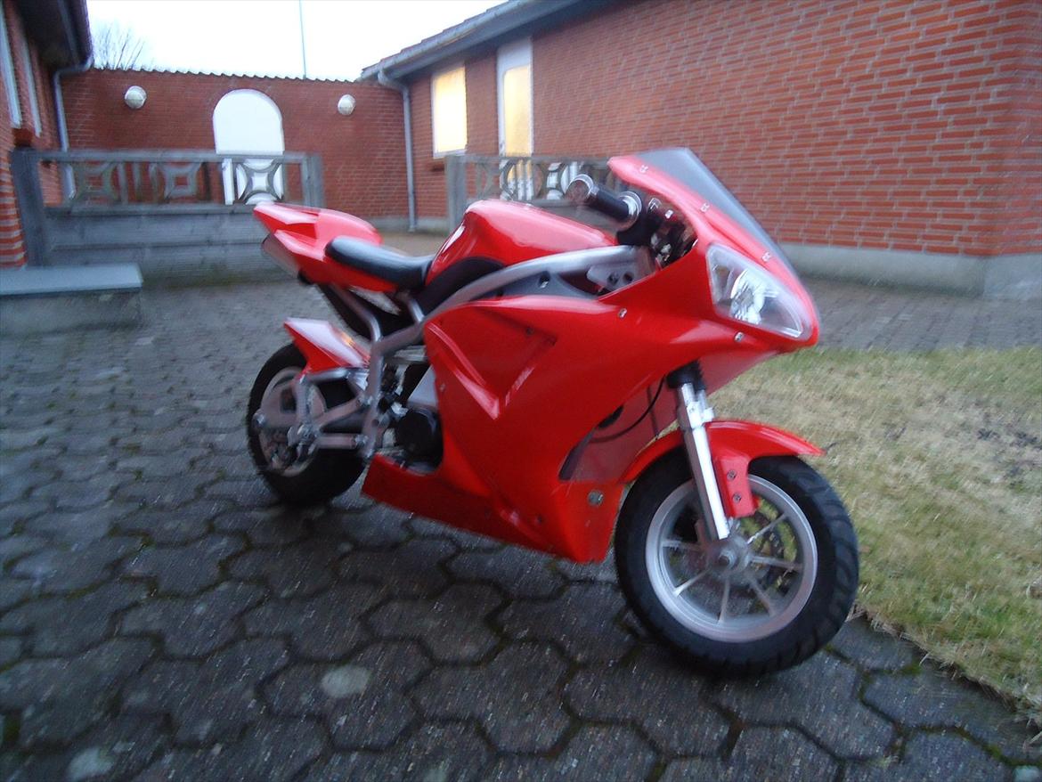 MiniBike Pocketbike billede 1