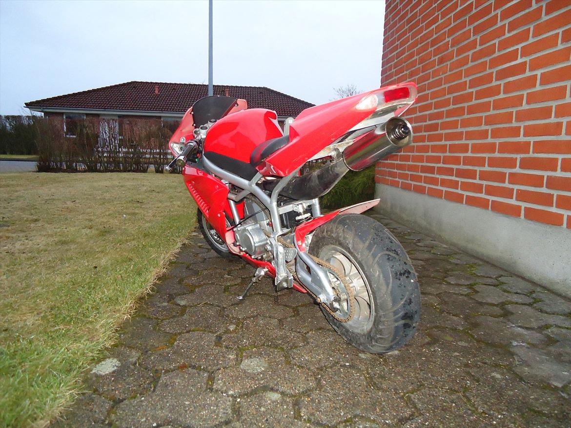 MiniBike Pocketbike billede 5