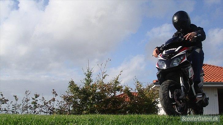 Piaggio nrg power dt  billede 12