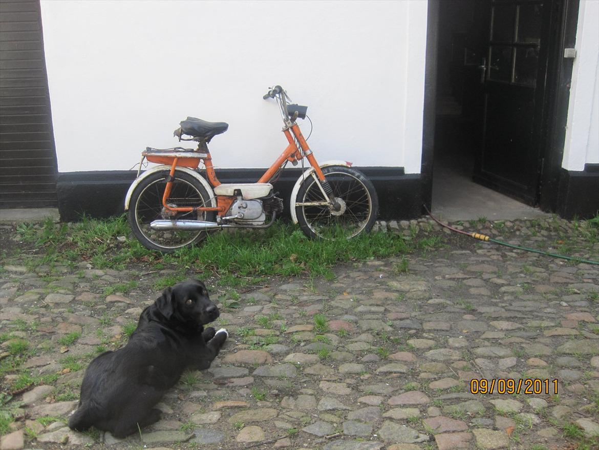 Honda amigo billede 9