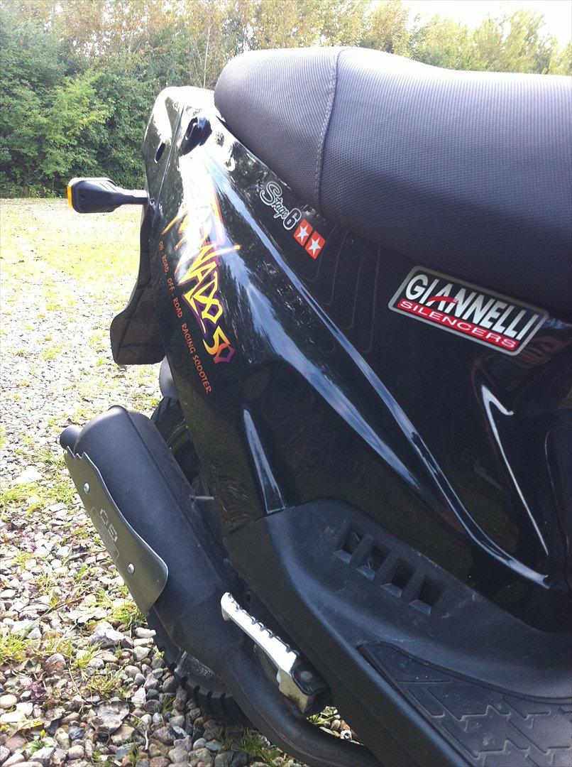 PGO Tornado  billede 12