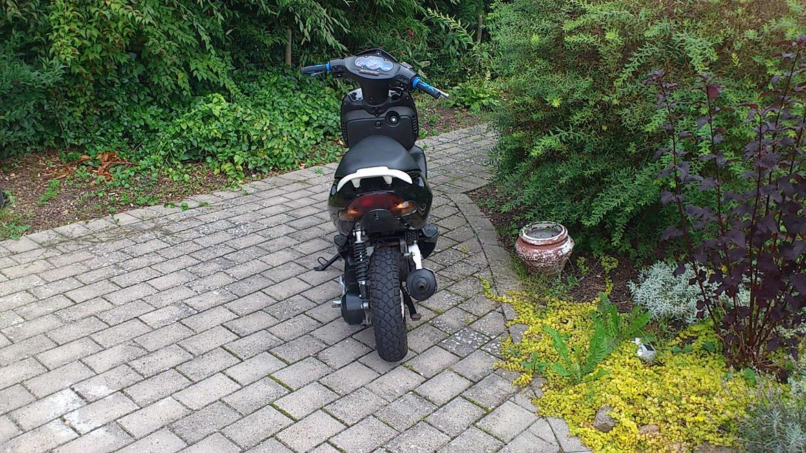 Aprilia Sonic billede 4