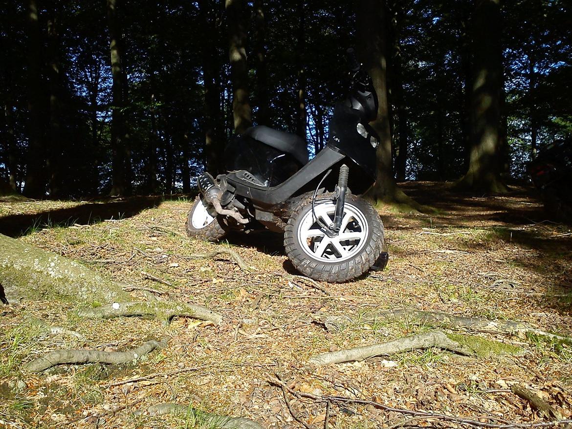 PGO Hot 50 billede 3