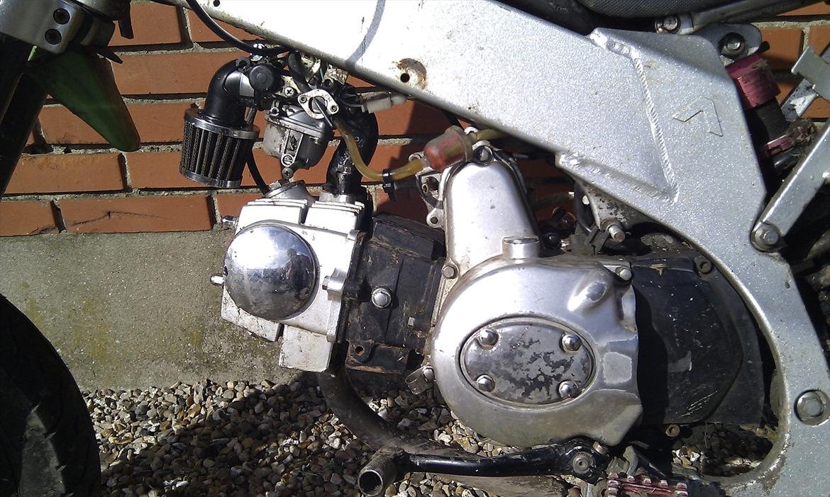 Apollo Orion   Apollo  billede 3