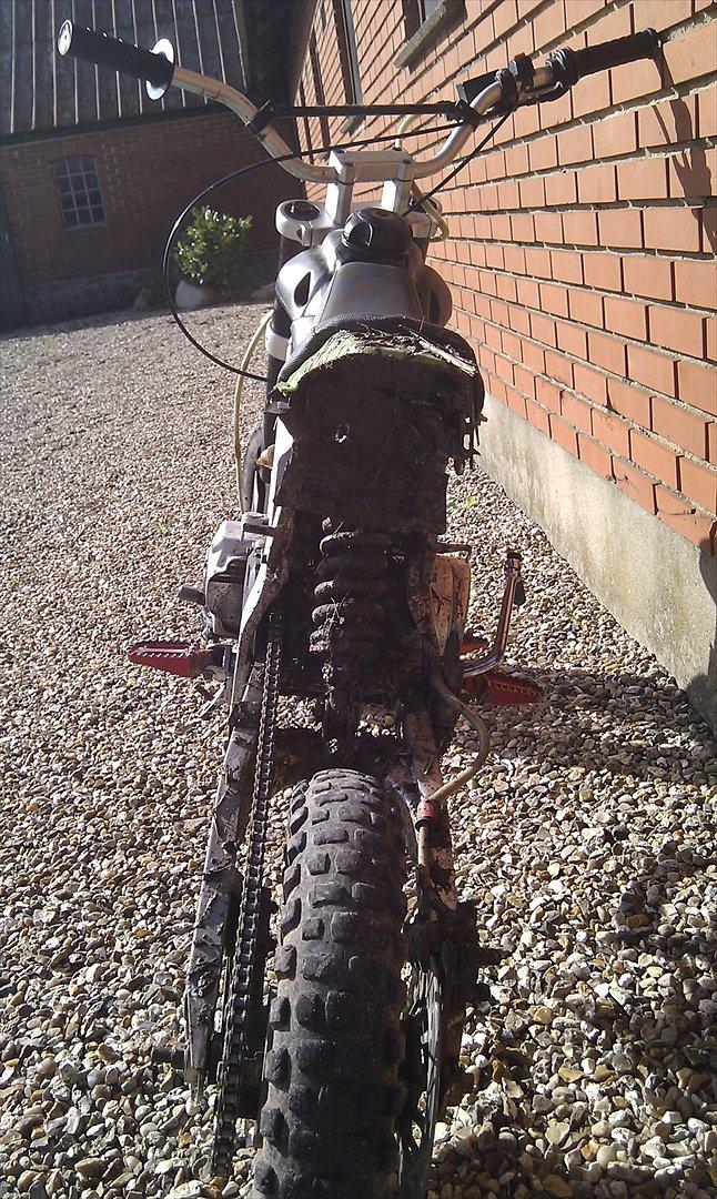 Apollo Orion   Apollo  billede 4