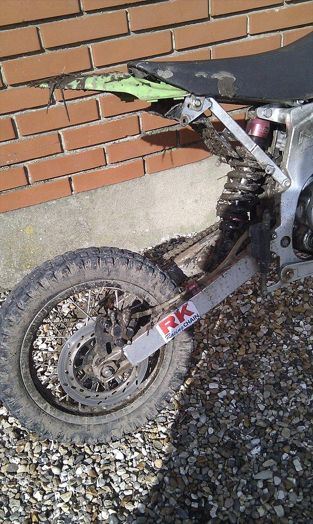 Apollo Orion   Apollo  billede 5