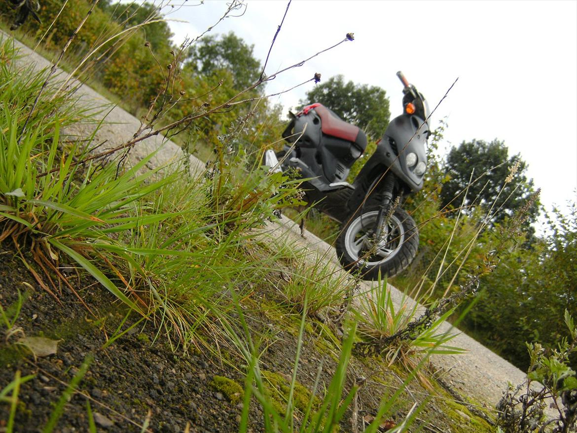 PGO PMX Sport "til salig" billede 6