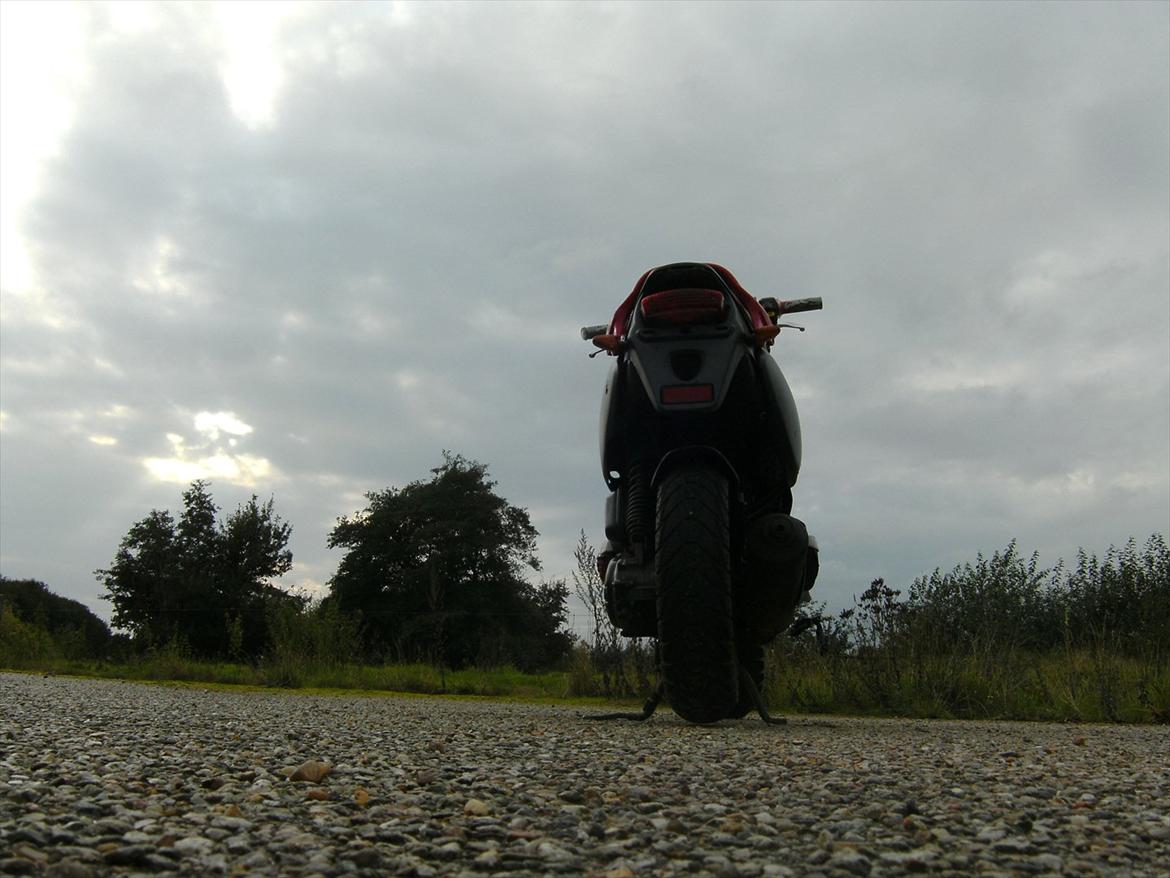 PGO PMX Sport "til salig" billede 8