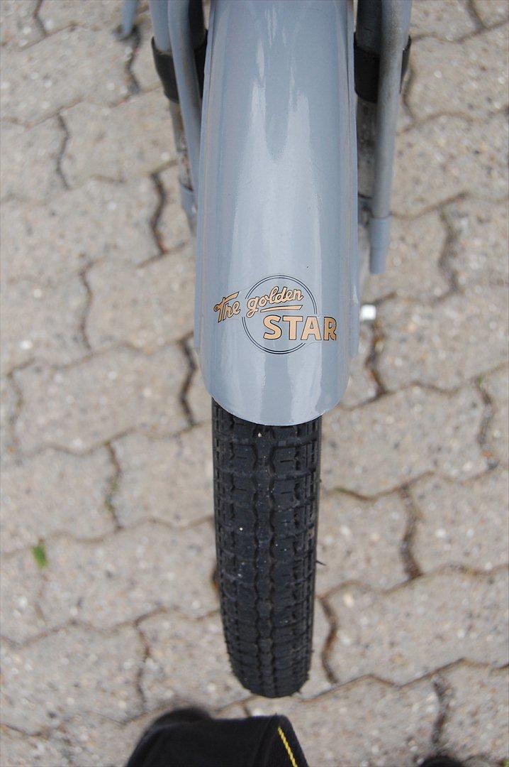 Sco Golden Star  billede 3