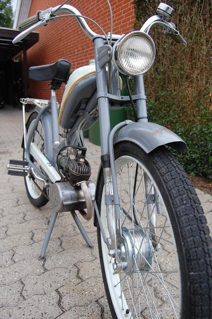 Sco Golden Star  - Meget velholdt billede 5