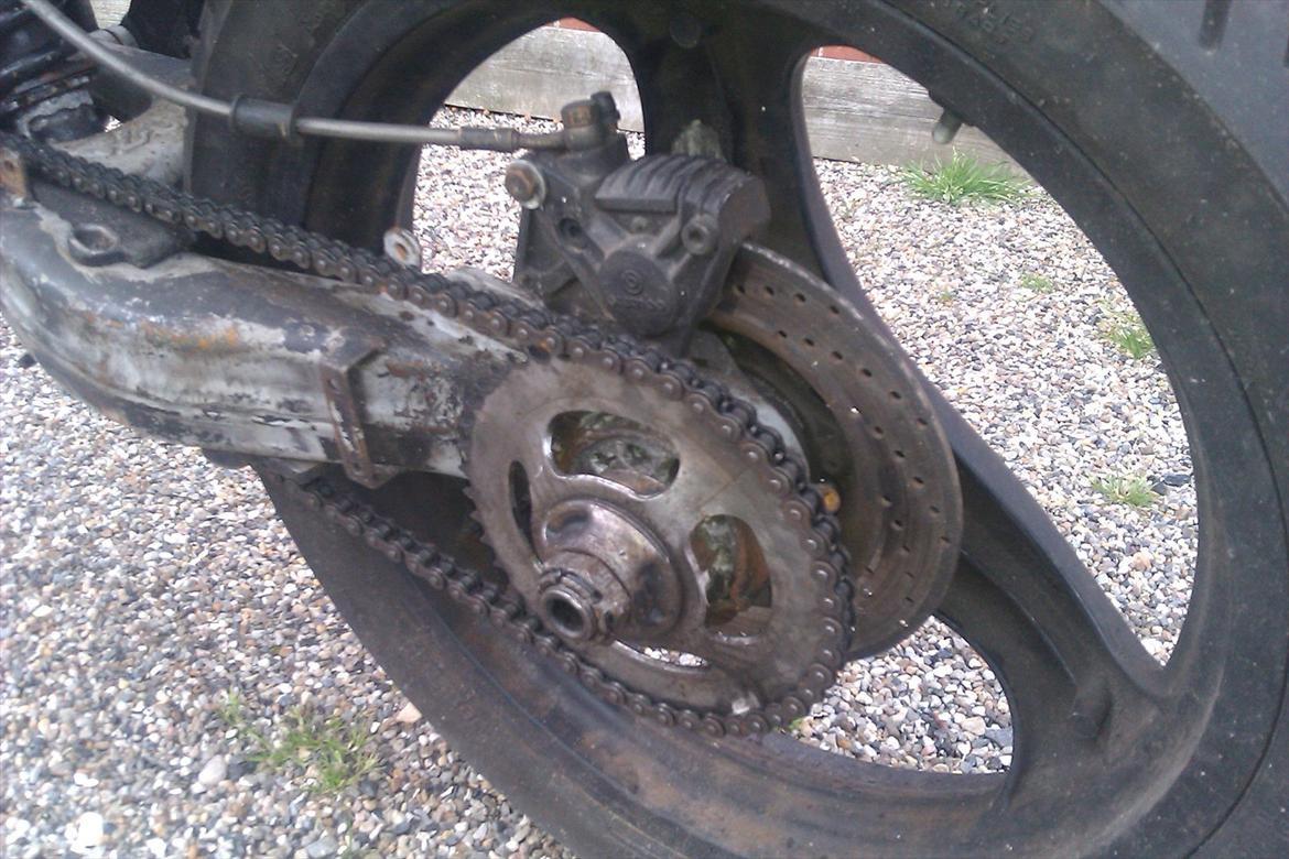 Suzuki SMX CUSTOM billede 9