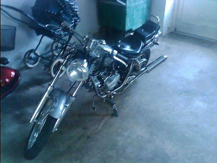 Regal raptor  [kommet tilbage) billede 2