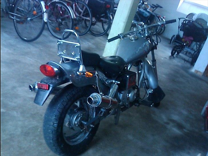 Regal raptor  [kommet tilbage) billede 1