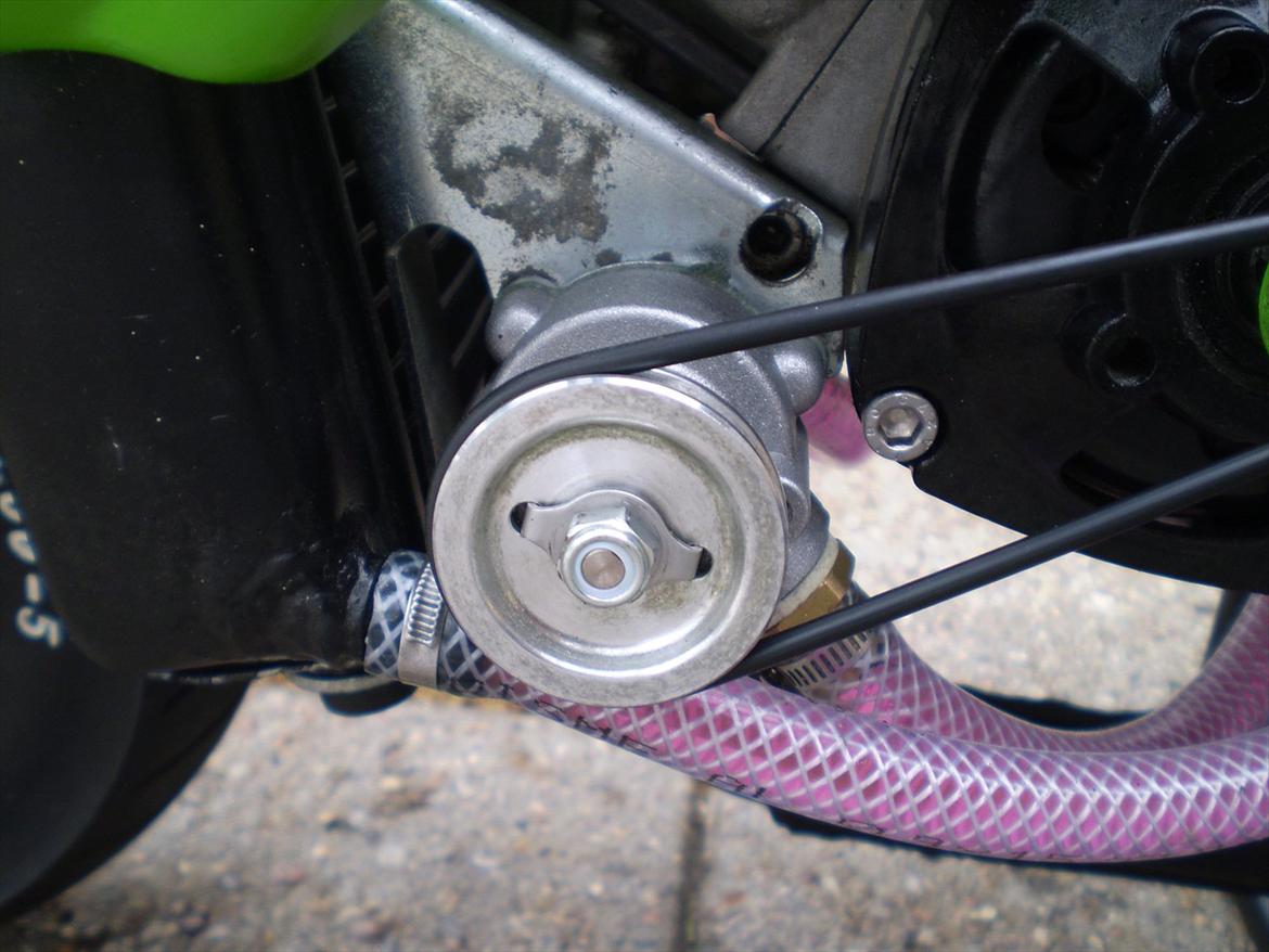 Polini PRG moto billede 12