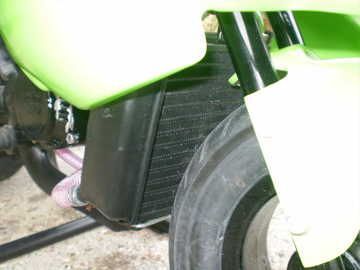 Polini PRG moto billede 6