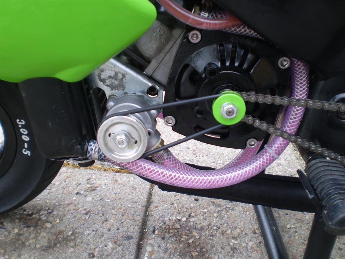 Polini PRG moto billede 14