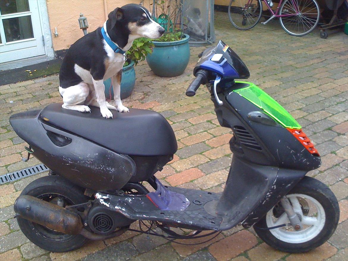 Aprilia sonic billede 3