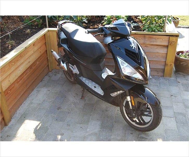 Peugeot Speedfight 3 RS billede 1