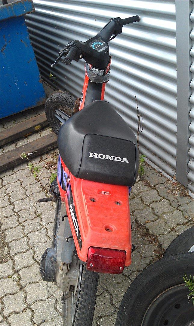 Honda Wallaroo billede 5