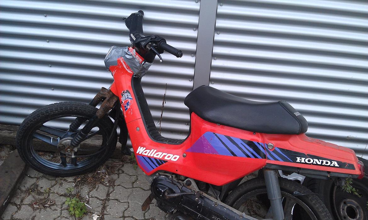 Honda Wallaroo billede 6