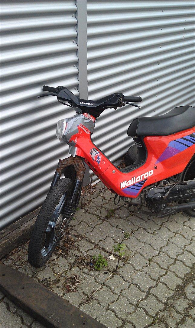 Honda Wallaroo billede 7