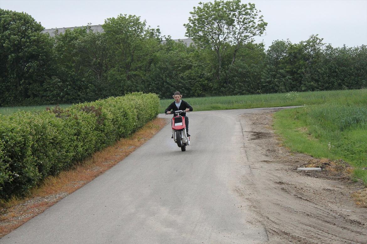 Yamaha Jog sd lc billede 1