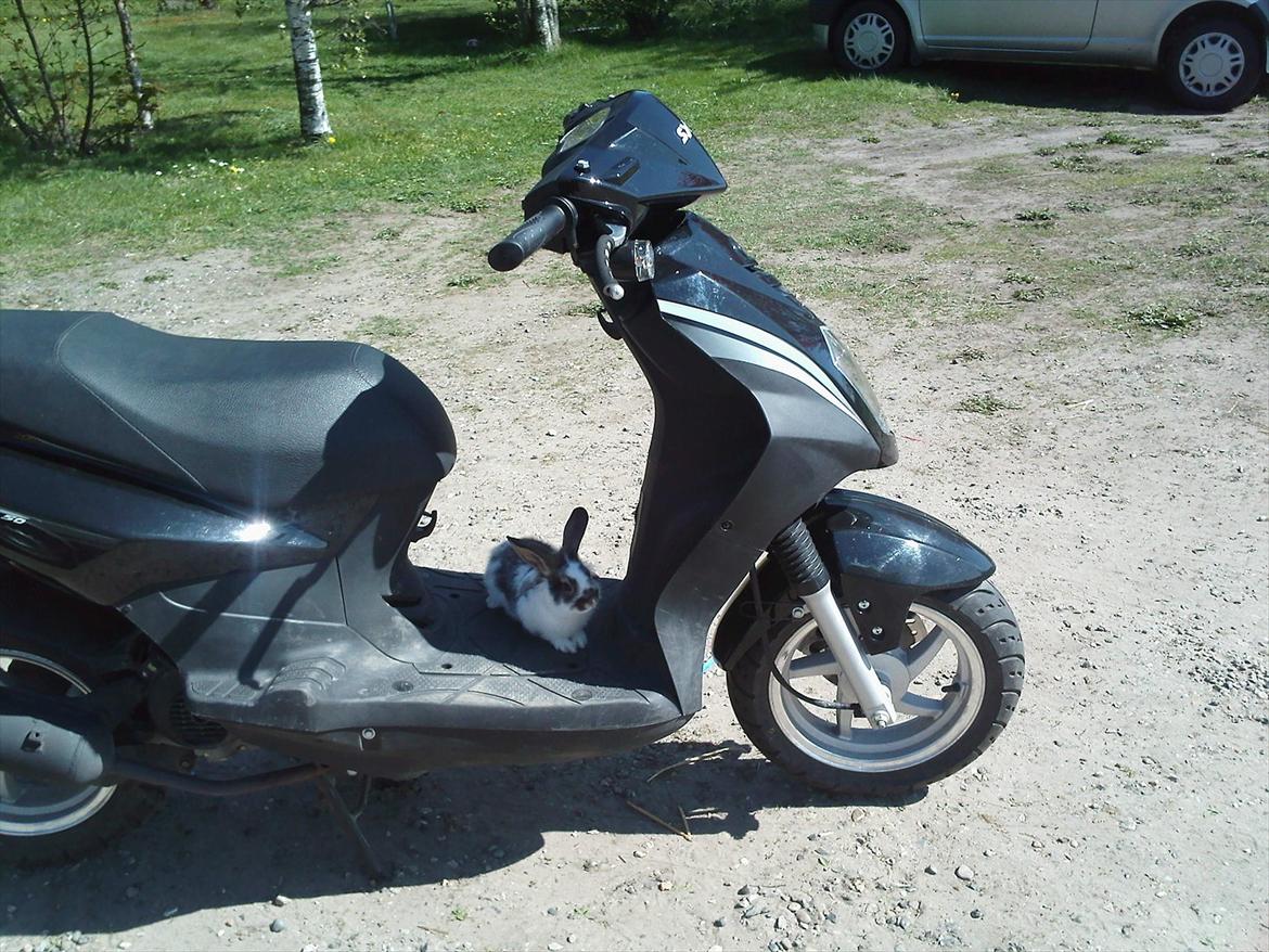 Sym Orbit 50 - :D  billede 2