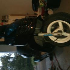 Aprilia Sonic Polini