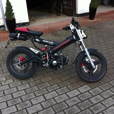 Sachs Madass (SOLGT)