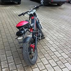 Sachs Madass (SOLGT)