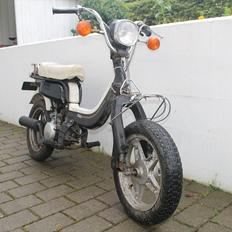 Suzuki Fz50
