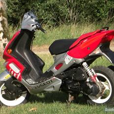 Peugeot Speedfight 2 Rally cup Victory