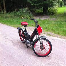 Puch Maxi K Night Rider