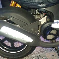 PGO Pmx Naked Carbon