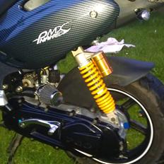 PGO Pmx Naked Carbon