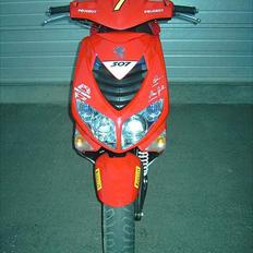 Peugeot Spedfight 2 WRC 307