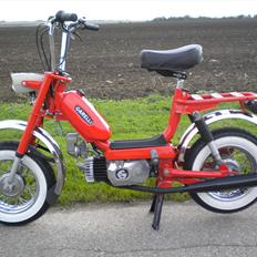 Garelli Katia M SOLGT