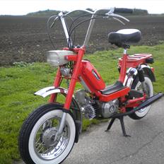 Garelli Katia M SOLGT