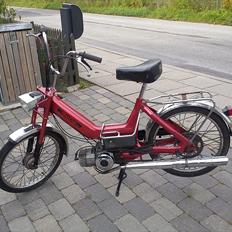 Puch Maxi P (E 50)
